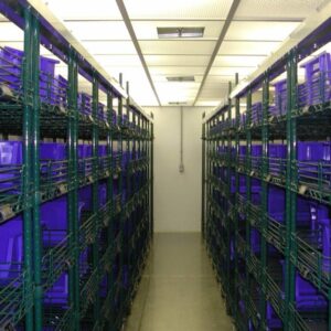 Walk-In Stability Chambers