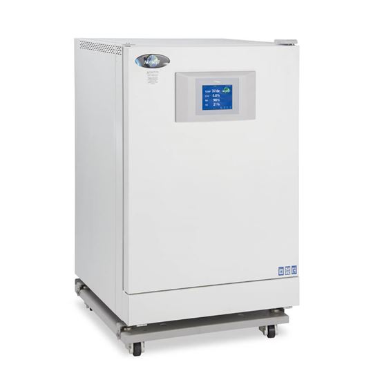 CO2 / Tri-gas Incubators